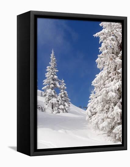 Snowcovered landscape-null-Framed Premier Image Canvas