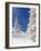 Snowcovered landscape-null-Framed Photographic Print