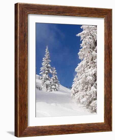 Snowcovered landscape-null-Framed Photographic Print