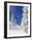 Snowcovered landscape-null-Framed Photographic Print