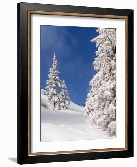 Snowcovered landscape-null-Framed Photographic Print