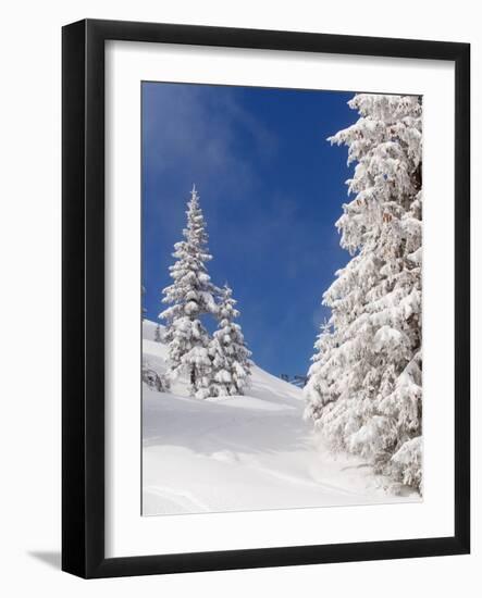 Snowcovered landscape-null-Framed Photographic Print