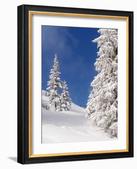 Snowcovered landscape-null-Framed Photographic Print