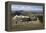 Snowdon Mountain Railway Train and the Llanberis Path-Stuart Black-Framed Premier Image Canvas