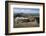 Snowdon Mountain Railway Train and the Llanberis Path-Stuart Black-Framed Photographic Print