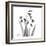 Snowdrop Black and White-Albert Koetsier-Framed Art Print