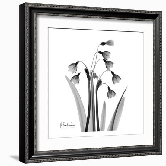 Snowdrop Black and White-Albert Koetsier-Framed Art Print
