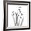 Snowdrop Black and White-Albert Koetsier-Framed Art Print