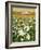 Snowdrop Day, Hatfield House, 1999-Frances Broomfield-Framed Giclee Print