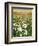 Snowdrop Day, Hatfield House, 1999-Frances Broomfield-Framed Giclee Print