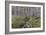 Snowdrop Dell-Bill Makinson-Framed Giclee Print