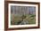 Snowdrop Dell-Bill Makinson-Framed Giclee Print