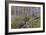 Snowdrop Dell-Bill Makinson-Framed Giclee Print