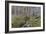 Snowdrop Dell-Bill Makinson-Framed Giclee Print