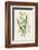 Snowdrop Depicted with Leucajum Aestivum: Snowflake-F. Edward Hulme-Framed Photographic Print