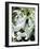 Snowdrop (Galanthus Nivalis) Flowers-Cordelia Molloy-Framed Photographic Print