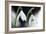 Snowdrop (Galanthus Nivalis)-Dr. Keith Wheeler-Framed Photographic Print