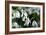 Snowdrop (Galanthus Sp.)-Dr. Keith Wheeler-Framed Photographic Print