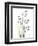 Snowdrop Galanthus-Albert Koetsier-Framed Premium Giclee Print