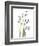 Snowdrop Galanthus-Albert Koetsier-Framed Art Print