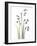 Snowdrop Galanthus-Albert Koetsier-Framed Art Print