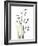 Snowdrop Galanthus-Albert Koetsier-Framed Art Print