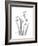 Snowdrop Gray-Albert Koetsier-Framed Premium Giclee Print