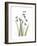 Snowdrop Portrait-Albert Koetsier-Framed Premium Giclee Print