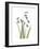 Snowdrop Portrait-Albert Koetsier-Framed Premium Giclee Print