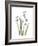 Snowdrop Portrait-Albert Koetsier-Framed Premium Giclee Print