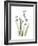 Snowdrop Portrait-Albert Koetsier-Framed Premium Giclee Print