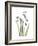 Snowdrop Portrait-Albert Koetsier-Framed Premium Giclee Print