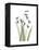 Snowdrop Portrait-Albert Koetsier-Framed Stretched Canvas