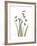 Snowdrop Portrait-Albert Koetsier-Framed Premium Giclee Print