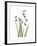 Snowdrop Portrait-Albert Koetsier-Framed Premium Giclee Print