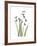 Snowdrop Portrait-Albert Koetsier-Framed Premium Giclee Print