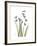 Snowdrop Portrait-Albert Koetsier-Framed Premium Giclee Print