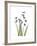 Snowdrop Portrait-Albert Koetsier-Framed Premium Giclee Print