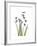 Snowdrop Portrait-Albert Koetsier-Framed Premium Giclee Print