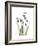 Snowdrop Portrait-Albert Koetsier-Framed Premium Giclee Print