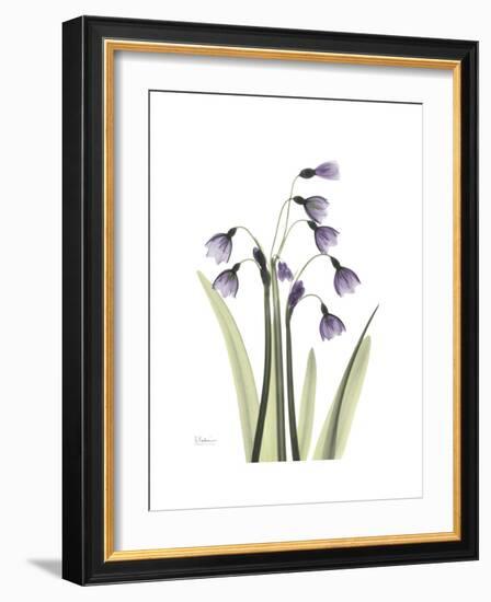 Snowdrop Portrait-Albert Koetsier-Framed Premium Giclee Print