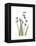 Snowdrop Portrait-Albert Koetsier-Framed Stretched Canvas