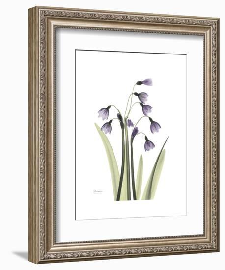 Snowdrop Portrait-Albert Koetsier-Framed Premium Giclee Print