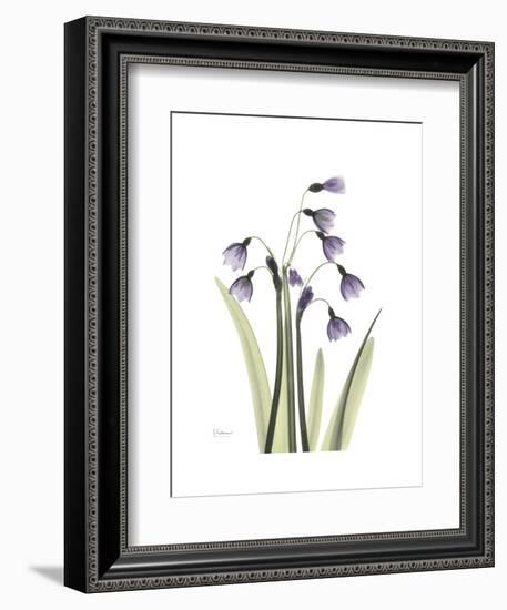 Snowdrop Portrait-Albert Koetsier-Framed Premium Giclee Print