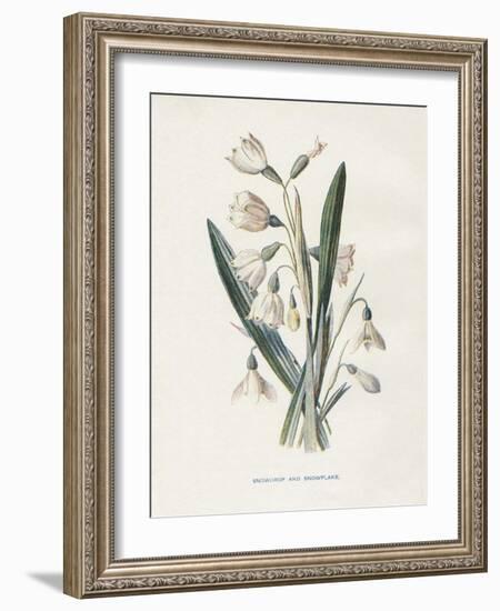 Snowdrop & Snowflake-Gwendolyn Babbitt-Framed Art Print