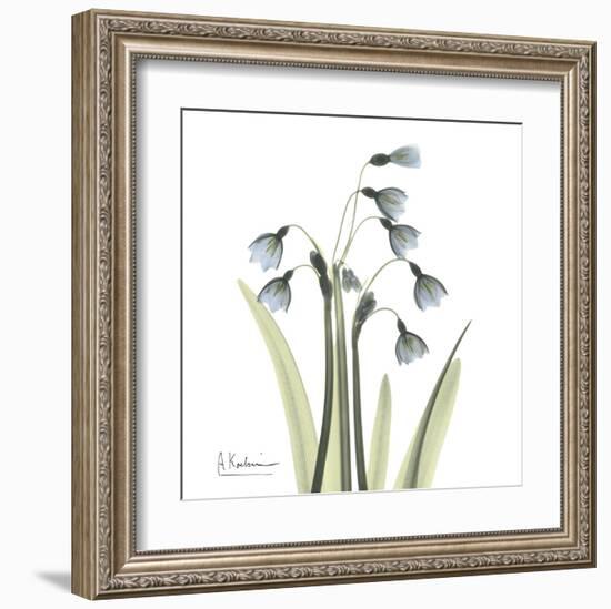 Snowdrop-Albert Koetsier-Framed Art Print