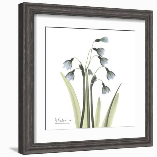 Snowdrop-Albert Koetsier-Framed Art Print