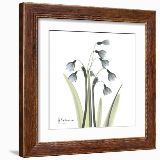 Snowdrop-Albert Koetsier-Framed Art Print