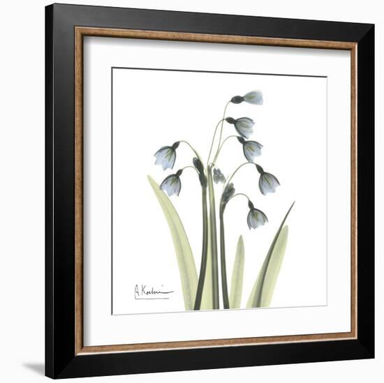 Snowdrop-Albert Koetsier-Framed Art Print