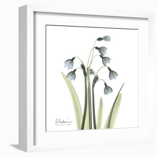 Snowdrop-Albert Koetsier-Framed Art Print